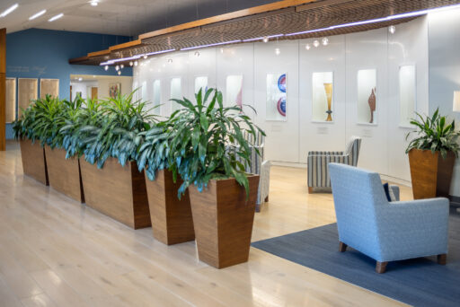 Interior lobby photography at medical facility